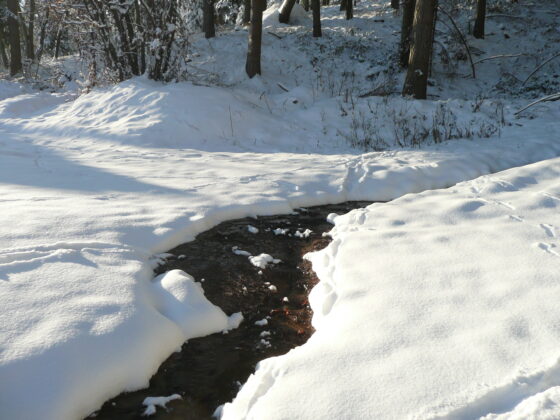 Ruisseau neige