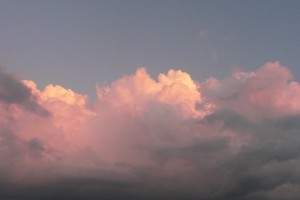 P1020464