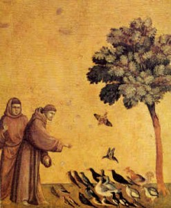 Saint François d'Assise prêche aux oiseaux Giotto