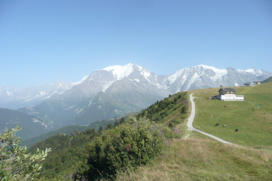 Chemin montagne Arbois