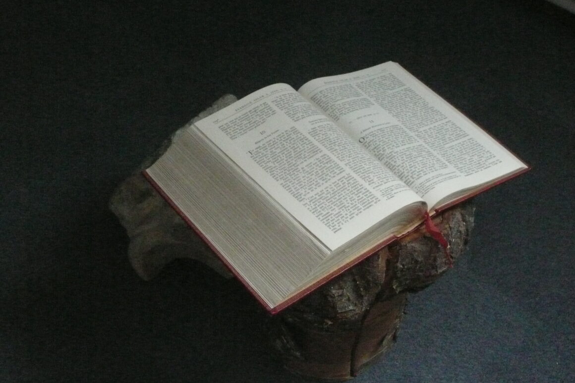 Bible Tamié