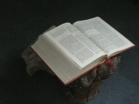 Bible Tamié