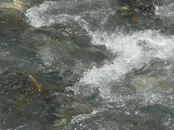 Torrent