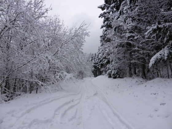 Chemin neige