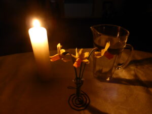 P1010730