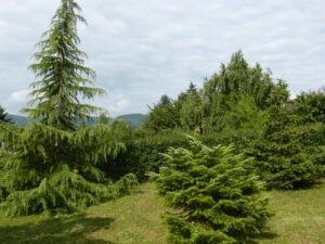 P1020372