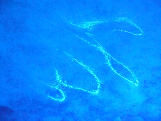 Bleu grotte des glaces