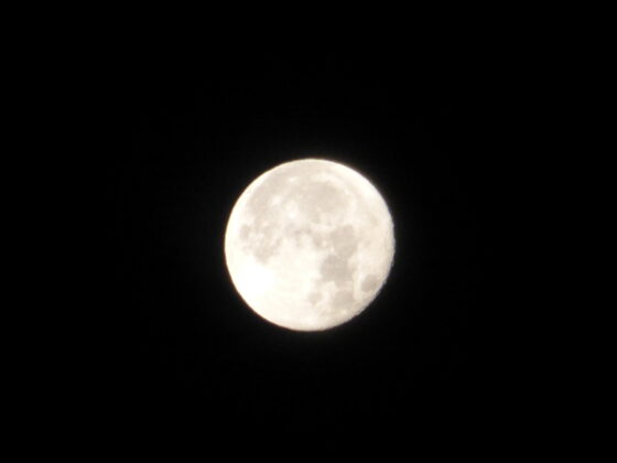 Lune