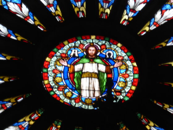 Rose Christ Sauveur