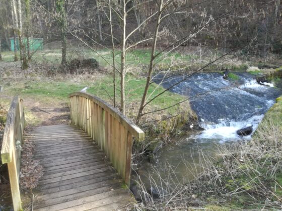 Petit pont de bois