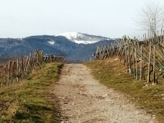 Chemin et Petit Ballon