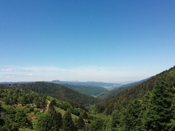Vue Boenlesgrab