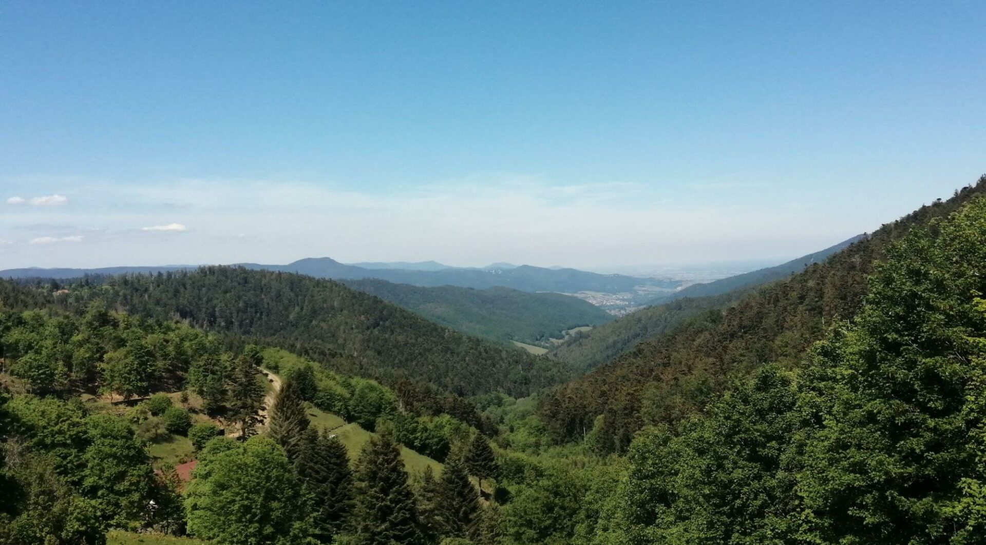 Paysage